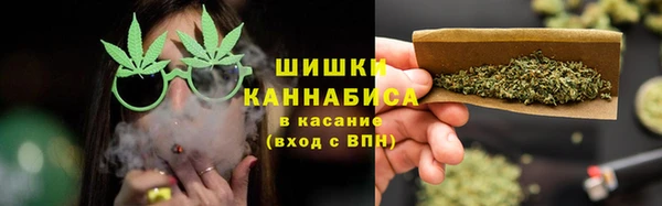 ПСИЛОЦИБИНОВЫЕ ГРИБЫ Алексин