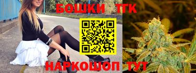 мдпв Новодвинск
