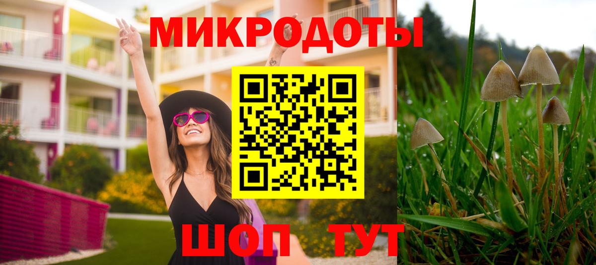 Джанкой  Псилоцибиновые грибы мухоморы  Вход с VPN 